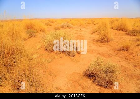 Schönen marokkanischen Berglandschaft mit Trockene Sträucher im Vordergrund Stockfoto