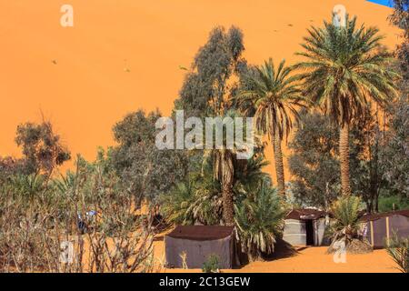 Sanddünen und Oase in der Sahara, Merzouga, Marokko Stockfoto