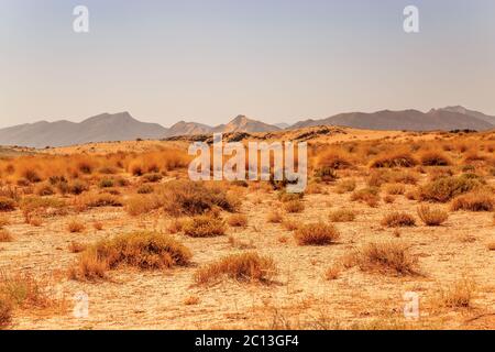 Schönen marokkanischen Berglandschaft mit Trockene Sträucher im Vordergrund Stockfoto