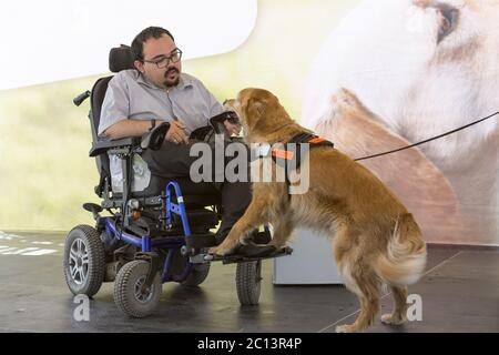 Guide und Assistance Hund Geldbörse Stockfoto