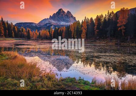 Spektakuläre morgendliche Herbstlandschaft, Bergsee und gelbe Lärchen bei Sonnenaufgang. Antorno See mit den Tre Cime di Lavaredo Gipfeln im Hintergrund, Dol Stockfoto