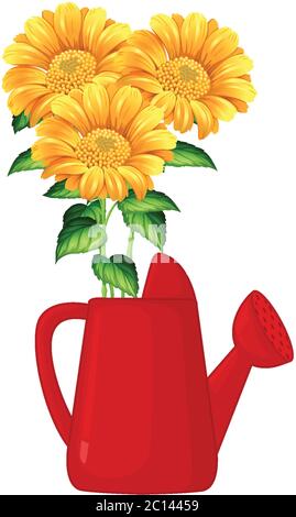 Sonnenblumen in rot Bewässerung kann Cartoon-Stil auf weißem Hintergrund Illustration Stock Vektor