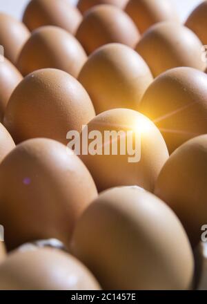 Eier liegen in der Pappauflage Stockfoto