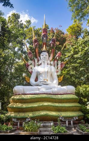 Phayao, Thailand - 24. Nov 2019: Naga oder Schlange Buddha Statue im Wald mit blauem Himmel Hintergrund in der Portrait Ansicht Stockfoto