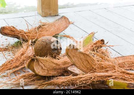 Halbgeschälte Kokosnuss mit Faser, die auf weißem Holzboden herumliegt Stockfoto