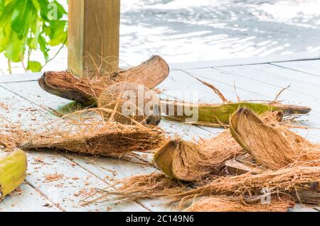 Halbgeschälte Kokosnuss mit Faser, die auf weißem Holzboden herumliegt Stockfoto