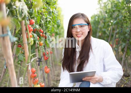 Junge schöne asiatische Frau arbeitet im grünen Feld Stockfoto