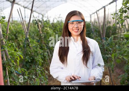 Junge schöne asiatische Frau arbeitet im grünen Feld Stockfoto
