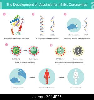 Die Entwicklung von Impfstoffen gegen das Coronavirus. Illustration erklären Sie den Impfstoff, der für inhibierte Coronaviren (SARS-CoV-2) durch die Anwendung der Methode im entwickelt wurde Stock Vektor