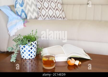 Topf mit saftigen Pflanzen und geöffnetes Buch mit dem Tee auf Holztisch. Stockfoto