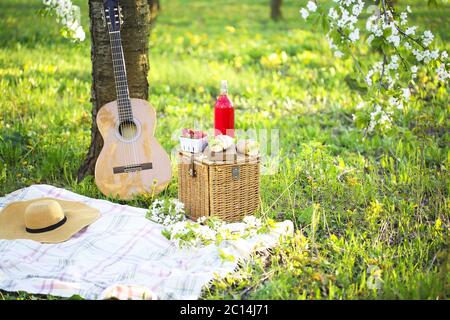 Gitarre, Korb, Sandwiches, Karomuset und Saft in einem blühenden Garten Stockfoto