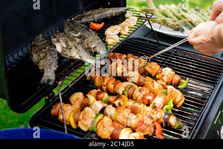 Köstliche gegrillte Gemüse- und Fleischspieße in einer Kräutermarinade mit Meeresfrüchten gegrilltes Fischfutter mit Salz auf dem Grillfeuer und Rauch im Dunkeln Stockfoto