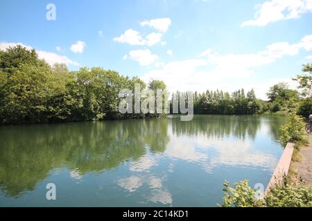 Weiße Cumuluswolken und blauer Himmel spiegeln sich auf der Wasseroberfläche der Zevenhuizerplas in den Niederlanden Stockfoto