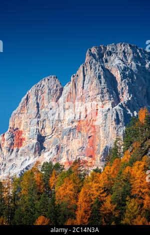 Blick über Lärchen, Kiefer und Fichtenwälder auf dem Roten Gipfel der Dolomiten (Croda Rossa) im Herbst Oktober Farben bei sonnigem Tag, Dolomiten, Südtirol, Italien Stockfoto