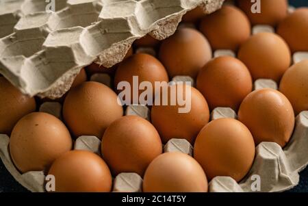 Bündel roher Hühnereier in Karton. Es gibt keine Flecken auf den Eiern. Leerzeichen für Text Stockfoto
