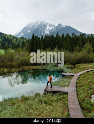 Schöne Landschaft der Natur am See Zelenci im Frühling, Granjska Gora, Slowenien. Baumwipfel wurden von nebligen Hintergrund erhöht. Lebendige Wirkung. Natürlich Stockfoto