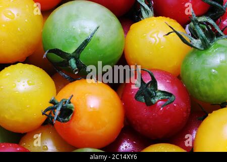 3 Farben Kirschtomaten (grün, orange und rot) - Nahaufnahme Stockfoto
