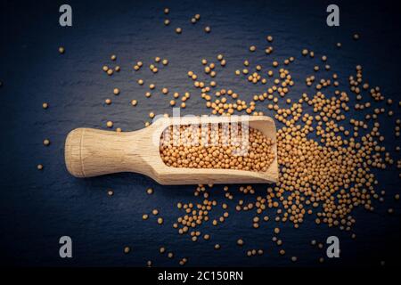 Senfkörner Granum sinapis und ein Holzlöffel Stockfoto