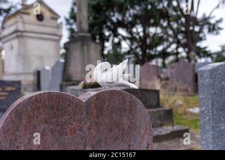 Taubenstatue auf dem Herz Form Grabstein auf dem öffentlichen Friedhof, Grabskulptur Stockfoto