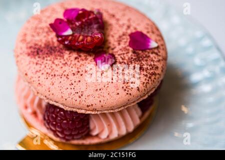 Schöne rosa Himbeer Macaron Cookies auf blauem Teller. Gesunde Ernährung. Blauer Tabellenhintergrund. Draufsicht. Stockfoto