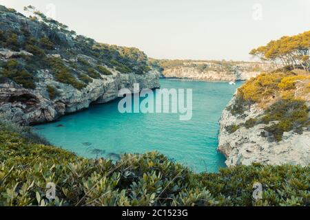 Panoramablick auf den Sonnenuntergang von Es calo des Moro schöner Strand. Schatten von Kiefern auf kristallklarem Wasser. Klassifiziert als einer der besten Strände der Welt. Stockfoto