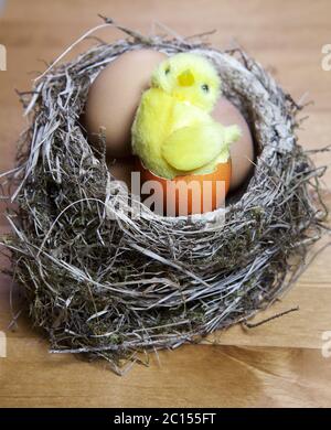 Das Spielzeug Huhn sitzt in einem Nest auf Ostereiern Stockfoto