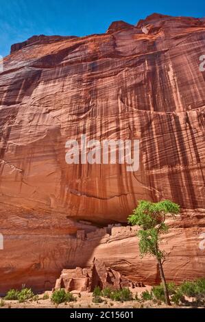 Ruinen des Weißen Hauses, Wüstenlack an der Wand, Canyon de Chelly National Monument, Navajo Indianerreservat, Arizona, USA Stockfoto