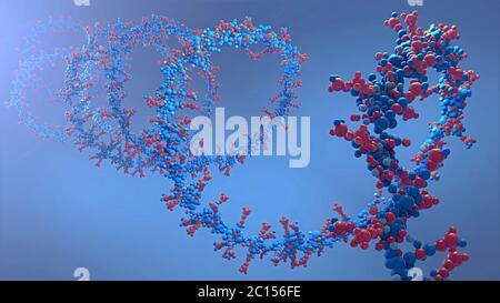 Ribonicleic-Säurenkette, aus der die Desoxyribonukleinsäure oder DNA zusammengesetzt ist - 3d-Illustration Stockfoto