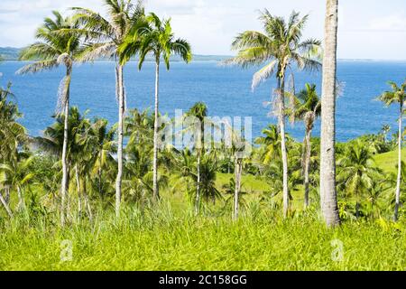 Atemberaubende Aussicht auf ein grünes Feld mit einigen Palmen im Vordergrund und einem blauen Meer in der Ferne. Corregidor Island, Siargao. Stockfoto
