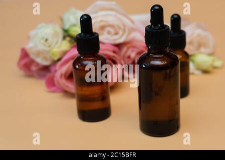 Feuchtigkeitsspendende Serum in einer Glasflasche neben Rosenblüten auf beigem Hintergrund. Erstellen von hausgemachten Kosmetika mit natürlichen Extrakten. Stockfoto