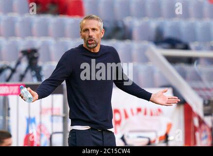 München, Deutschland, 13. Juni 2020, Marco ROSE, Trainer MG beim Spiel FC BAYERN München - BORUSSIA MÖNCHENGLADBACH in der 1.Bundesliga, Saison 2019/2020, 31.Spieltag, Gladbach, © Peter Schatz / Alamy Live News wichtig: Die DFL-BESTIMMUNGEN VERBIETEN DIE VERWENDUNG VON FOTOGRAFIEN als BILDSEQUENZEN und/oder QUASI-VIDEO - Nationale und internationale Nachrichtenagenturen AUSSCHLIESSLICH zur redaktionellen Verwendung Stockfoto