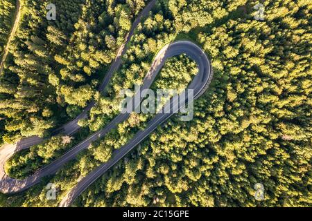 Luftaufnahme der kurvenreichen Straße in high mountain Pass durch dichte grüne Pinienwälder. Stockfoto