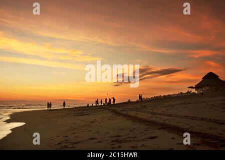 Silhouette von Menschen, die nach Sonnenuntergang am Strand spielen. Die schwarze Sandküste von El Paredón, Guatemala Stockfoto