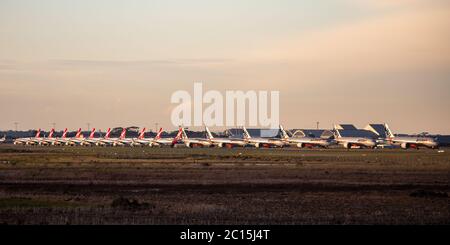 Jetstar und Qantas Flugzeuge parkten am Avalon Flughafen, nachdem sie während der COVID-19 (Coronavirus)-Ausbrut geerdet wurden Stockfoto