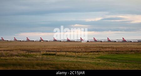 Avalon, Australien - 13. Juni 2020: Qantas airbus A330-Flugzeuge parkten am Avalon Airport, nachdem sie während der COVID-19 (Coronavirus)-Ausbrut geerdet waren Stockfoto