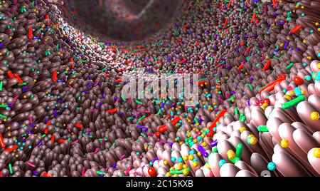 Verschiedene Keime im menschlichen Darm genannt Mikrobiom - 3d-Illustration Stockfoto