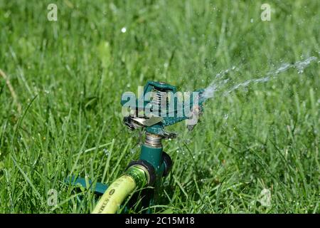 Nahaufnahme eines Rasenregners, der das Gras bewässert. Sommer. Stockfoto