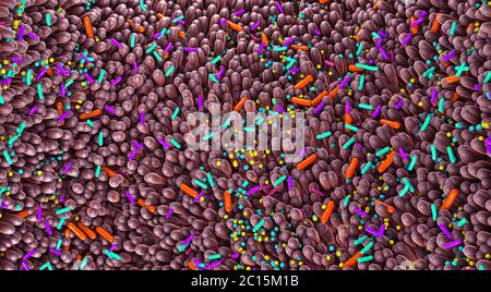 Verschiedene Keime im menschlichen Darm genannt Mikrobiom - 3d-Illustration Stockfoto