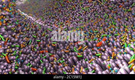 Verschiedene Keime im menschlichen Darm genannt Mikrobiom - 3d-Illustration Stockfoto