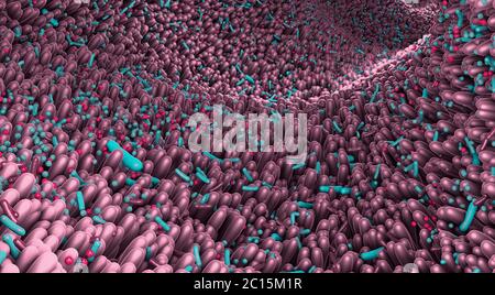 Verschiedene Keime im menschlichen Darm genannt Mikrobiom - 3d-Illustration Stockfoto