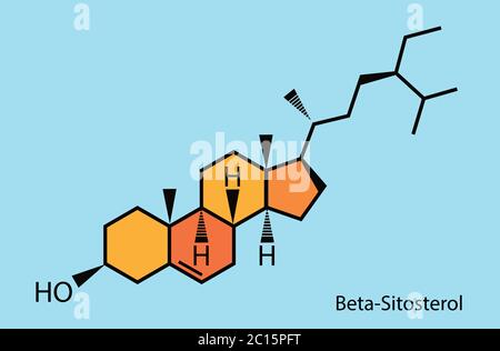 Beta-Sitosterol, Phytosterol und Triglyceride, Cholesterin Vektor-Design Stock Vektor
