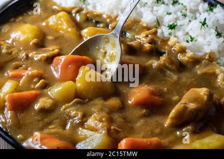 Japanisches Huhn, Rind und Schweinefleisch Curry. Asiatische Küche. Stockfoto