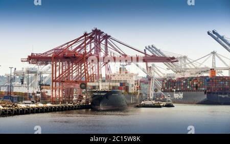 SEATTLE, WASHINGTON STATE, USA - JUNI 2018: Containerschiffe unter schweren Hubkranen im Hafen von Seattle. Stockfoto