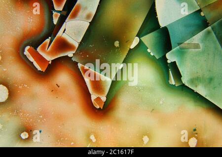 Farbige Flüssigkeiten in Flüssigkeit gemischt Schaffung bunte abstrakte Malerei Stockfoto