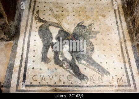 Cave Canem - Vorsicht vor dem Hund - Bodenmosaik in Latein im Vorraum des Hauses des tragischen Dichters in der antiken Stadt Pompeji, Italien Stockfoto