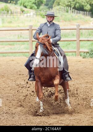 spanisches Paar: Rotes Pferd und Reiter in Bewegung Stockfoto