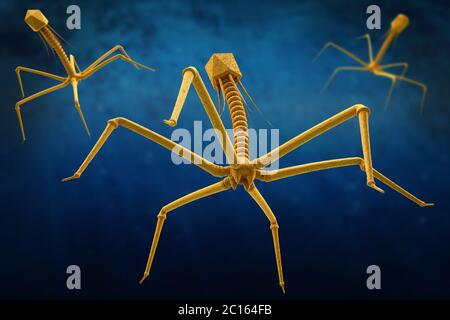 Bakteriophagen oder Phage Virus angreifende und infecting ein Bakterien - 3d-Illustration Stockfoto