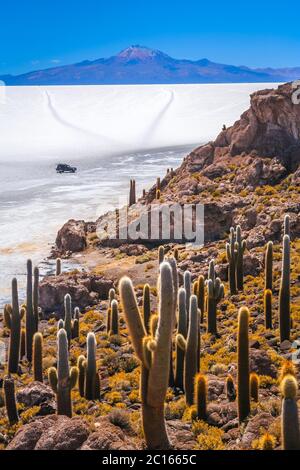 Allradantrieb auf dem Salar de Uyuni Stockfoto