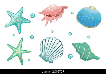 Meeresmuscheln Sammlung Stock Vektor Illustration. Isoliert auf weißem Hintergrund. Stock Vektor
