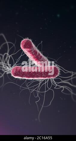 Violett gefärbte multiresistente Pseudomonas aeruginosa Bakterium - 3d-Illustration Stockfoto